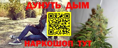 PSILOCYBIN Краснодар