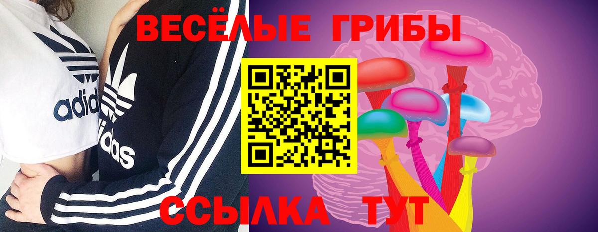 Конаково  Галлюциногенные грибы мицелий  Галлюциногенные грибы Psilocybine cubensis  Вход с VPN 